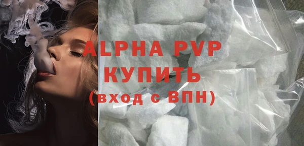 сатива Ельня