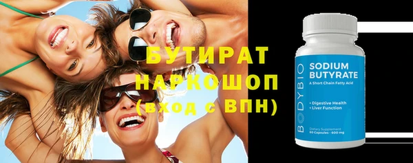 сатива Ельня
