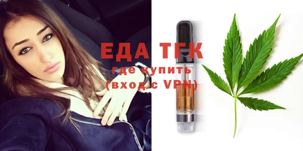 сатива Ельня