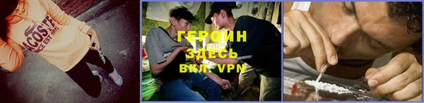 сатива Ельня