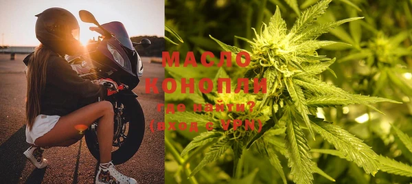 сатива Ельня